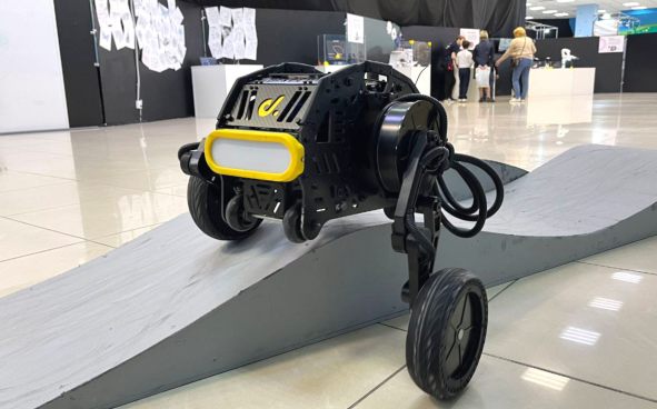 Изображение акции